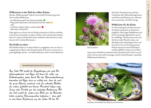 Eine deutsche Seite über den "Gartenführer Wildkrautampel" aus dem Kosmos Verlag, mit Infos über Wildkräuter, einem Foto von lila Disteln und einem Korb mit Wildblumen auf Holz. Perfekt für Fans von Selbstversorgung und natürlichem Gärtnern.