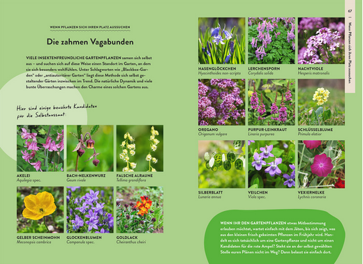 Der Gartenratgeber Wildkrautampel aus dem Kosmos Verlag bietet eine deutschsprachige, bebilderte Übersicht über farbenfrohe, bestäuberfreundliche Pflanzen mit beschrifteten Namen sowie Tipps zu Wildkräutern und Selbstversorgung für einen blühenden Garten.