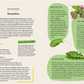 Eine Kochbuchseite mit dem Titel Smoothies enthält Zutatenlisten, grüne Rezeptboxen, Kräuterabbildungen und Tipps. Die rechte Seite stellt den "Gartenratgeber Wildkrautampel | Vom gelassenen Umgang mit Wildwuchs im Garten" aus dem Kosmos Verlag mit Pflanzenzeichnungen vor.
