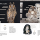 Zwei Seiten aus Das Buch der Gartenvögel vom Kosmos Verlag zeigen Fotos und Details einer Waldohreule (links) und eines Waldkauzes (rechts), mit beschrifteten Merkmalen und Beschreibungen, die die einzigartigen Eigenschaften jedes Gartenvogels hervorheben.