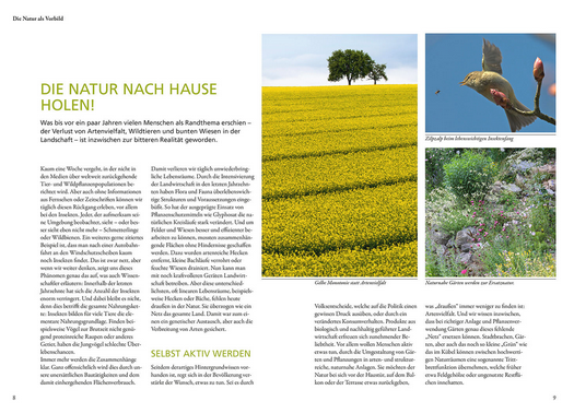 Auf einer Magazinseite zum Thema Natur sind drei Fotos zu sehen - ein gelbes Rapsfeld, ein Vogel im Flug und ein Wildblumengarten mit Wilden Kübel vom Kosmos Verlag: unkompliziert, natürlich und insektenfreundlich.