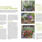 Eine Magazinstrecke zeigt Wilde Kübel aus dem Kosmos Verlag: unkomplizierte, natürliche, insektenfreundliche Balkonpflanzen und winterharte Stauden für sonnige Terrassen. Dazu gibt es vier Terrassenfotos und eine Checkliste.