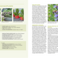 Eine Doppelseite aus "Wilde Kübel | Unkompliziert, naturnah, insektenfreundlich" aus dem Kosmos Verlag zeigt pflegeleichte Balkonbepflanzung mit Wildstauden, bienenfreundlichen Blüten und deutschen Pflanzenbeschreibungen.