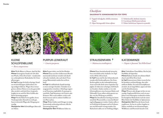 Eine Doppelseite aus dem Buch "Wilde Kübel | Unkompliziert, naturnah, insektenfreundlich" aus dem Kosmos Verlag zeigt vier Pflanzenteile mit deutschem Text, Fotos von weißen Blüten, grünen Farnen, violetten Blüten und eine pinkfarbene Checkliste oben rechts.