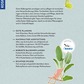 Rückseite des Covers von "Klimahelden auf dem Balkon | Pflanzenglück trotz Hitze, Trockenheit & Starkregen" vom Kosmos Verlag: Balkongarten-Tipps, Schmetterling, Liegestuhl, klimafitte Pflanzen & Logos auf hellgrünem Hintergrund.