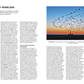 Eine Magazinseite mit deutschem Text zeigt Das NABU-Vogelbuch aus dem Kosmos Verlag, das einen Sonnenuntergangsschwarm in der Nähe eines Leuchtturms und fünf Vögel im Formationsflug zeigt. Blaue und weiße Kästen heben die wichtigsten Vogelarten Deutschlands hervor.