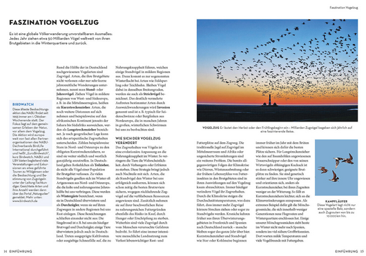 Eine Magazinseite mit deutschem Text zeigt Das NABU-Vogelbuch aus dem Kosmos Verlag, das einen Sonnenuntergangsschwarm in der Nähe eines Leuchtturms und fünf Vögel im Formationsflug zeigt. Blaue und weiße Kästen heben die wichtigsten Vogelarten Deutschlands hervor.