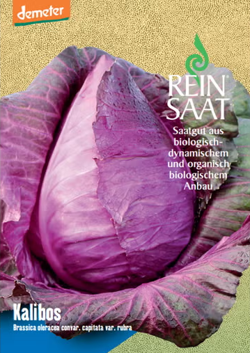 Eine Nahaufnahme eines halbierten violetten Kohls mit dicht gepackten Blättern auf einem beigen Hintergrund mit deutschem Text und Logos für Reinsaat | Rotkraut 'Kalibos' Bio-Kohlsamenverpackungen von Reinsaat.