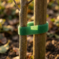 Ein junger Baum wird von einem Holzpfahl gestützt, der mit Königliche Gartenakademie Pflanzenklettband | 5 m grün gesichert ist, in einem sonnenbeschienenen Garten mit Erde und verschwommenem Laub im Hintergrund.