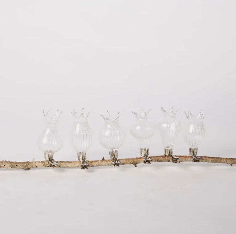 Sechs klare Des Pots Filigrane Mini Klemmvasen aus dem 6er Set sind gleichmäßig entlang eines horizontalen Zweiges vor weißem Hintergrund geschnitten und verleihen jedem Dekorarrangement raffinierte Eleganz.