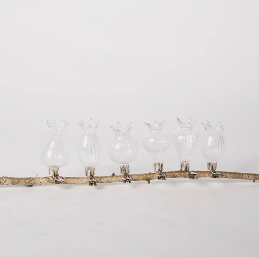 Sechs klare Des Pots Filigrane Mini Klemmvasen aus dem 6er Set sind gleichmäßig entlang eines horizontalen Zweiges vor weißem Hintergrund geschnitten und verleihen jedem Dekorarrangement raffinierte Eleganz.