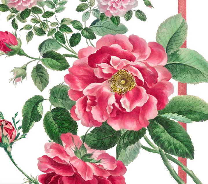 Leuchtend rosa Rosen mit grünen Blättern und Stielen auf weißem Grund, inspiriert von Napking | Premium Leinen Geschirrtuch 'Cecile' 55 × 75 cm. Einige Rosenknospen sind sichtbar, mit einem vertikalen roten Streifen am rechten Rand des Bildes. Marke: Napking.