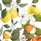 Aquarellillustration von ganzen und aufgeschnittenen Zitronen, Orangen, grünen Blättern und weißen Blüten, inspiriert von Napking | Tablett 'Amalfi' 46 x 36 cm, mit einer großen zentralen Blüte auf einem klaren weißen Hintergrund. Marke: Napking.
