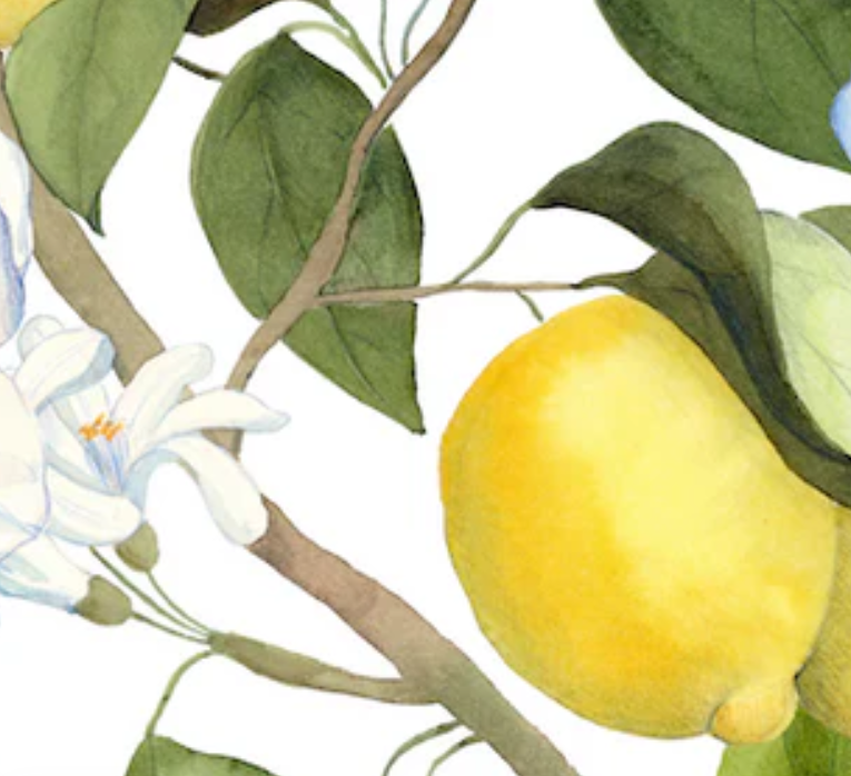 Die Aquarell-Illustration eines Zitronenbaumzweigs mit grünen Blättern, weißen Blüten und einer leuchtend gelben Zitrone ziert den Napking Premium Leinen Tischläufer 'Amalfi' (50 x 150 cm), ideal für botanische Dekorationen von Napking.