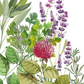 Eine Aquarellillustration von Kräutern und Blumen - grüne Blätter, lila Lavendel und roter Klee - inspirierte das Napking | Premium Leinen Geschirrtuch 'Épices' 55 × 75 cm für einen Hauch von mediterraner Eleganz in Ihrer Küche.
