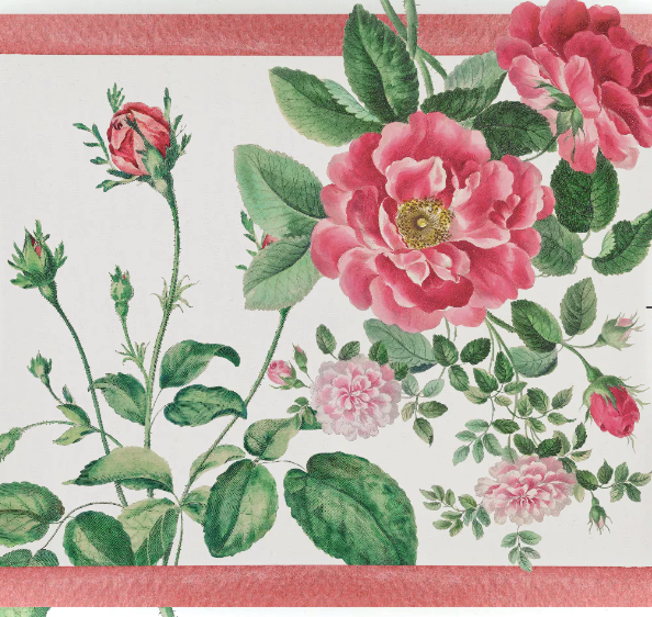 Illustration von blühenden rosa Rosen, grünen Blättern und Rosenknospen auf weißem Grund mit rosa Umrandung - ideal für das Napking-Tablett 'Cecile' 46 x 36 cm von Napking im floralen Design.