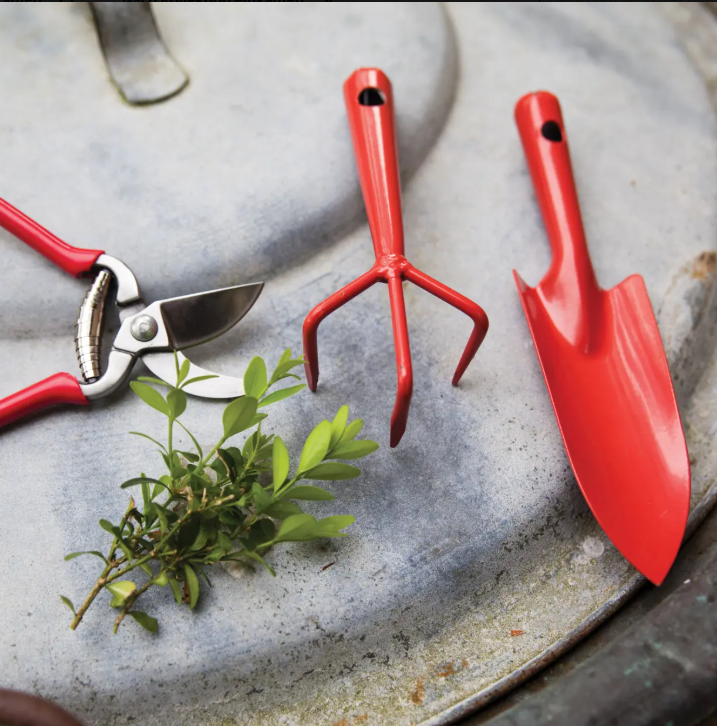 Auf einer Metalloberfläche liegen eine rote Gartenschere, ein kleiner roter Handrechen und die „Esschert Kleine Blumenkelle aus Stahl | Rote Pflanzkelle 20,2 cm“ neben einem Zweig mit grünen Blättern – perfekte Gartenwerkzeuge für die Pflege Ihrer Zimmerpflanzen.