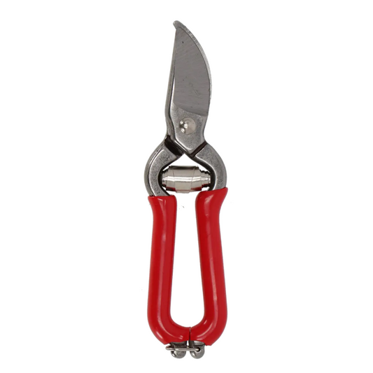 Die Esschert Mini Obst- und Gartenschere | Kompakte Pflanzenschere 14,2 cm verfügt über eine robuste Metallkonstruktion mit roten Griffen und einer gebogenen Klinge, wodurch sie sich ideal zum Beschneiden von Balkonpflanzen oder als kleine Gartenschere eignet. Sie ist hier vor einem weißen Hintergrund abgebildet.