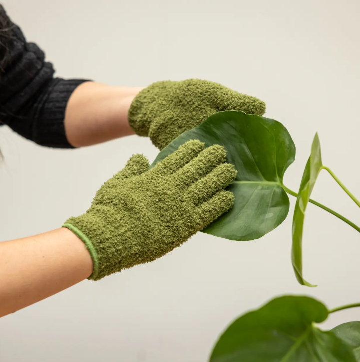 Eine Person, die Esschert-Pflanzenhandschuhe aus Mikrofaser zur Blattpflege in Grün trägt, wischt vorsichtig das große Blatt einer Zimmerpflanze – möglicherweise einer Monstera – mit behutsamen Reinigungstechniken vor einem schlichten, hellen Hintergrund ab.