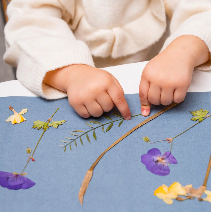 Die Hände eines Kindes ordnen getrocknete Blumen und Blätter auf einem Blatt Esschert Solar-Fotopapier im Format A5 an und schaffen so ein von „Sonnenbildern“ inspiriertes Kunstprojekt. Das Kind, das ein cremefarbenes Langarm-Oberteil trägt, legt jedes Element sorgfältig auf das lichtempfindliche Papier aus dem 12-Blatt-Set und bereitet sich darauf vor, zarte Silhouetten im Sonnenlicht einzufangen.