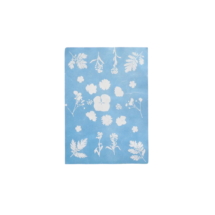 Ein Blatt im A5-Format aus Esscherts „Solar Fotopapier“ (12 Blatt) hält feine botanische Details im Stil der „Sonnenbilder“ fest und zeigt weiße Silhouetten verschiedener Blumen und Blätter vor einem satten blauen Hintergrund auf speziell beschichtetem lichtempfindlichem Papier.