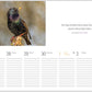 Ein schillernder Star sitzt anmutig auf einem Ast neben einer Seite aus dem Tischkalender „Vogel 2027 mit Fotografien, Zitaten & Kunst“ des Grätz Verlags, auf der Datumsangaben und ein Sprichwort über Häuser, Hunde und Hähne zu sehen sind – eine reizvolle Kleinigkeit für jeden Fan dieses einzigartigen Kalenders oder Liebhaber der Vogelfotografie.