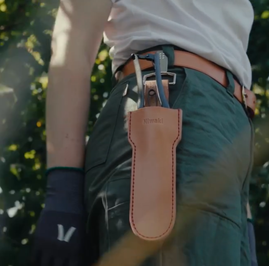 Eine Person in grüner Hose und Handschuhen steht im Freien, am Gürtel befestigt eine Niwaki | „Long Holster“ Lederschutzhülle für große Scheren (28,4 × 8,2 cm) von Niwaki, und hält eine Gartenschere in der Hand, während im Hintergrund Sonnenlicht durch die Blätter scheint.