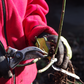 Hände in Gartenhandschuhen schneiden mit einer Gartenschere den Stamm einer kleinen Rosenpflanze mit freiliegenden Wurzeln zurück. Am Sa., 20.3.2027 | 10.30 – 12.30 Uhr WORKSHOP Rosenschnitt einfach erklärt.