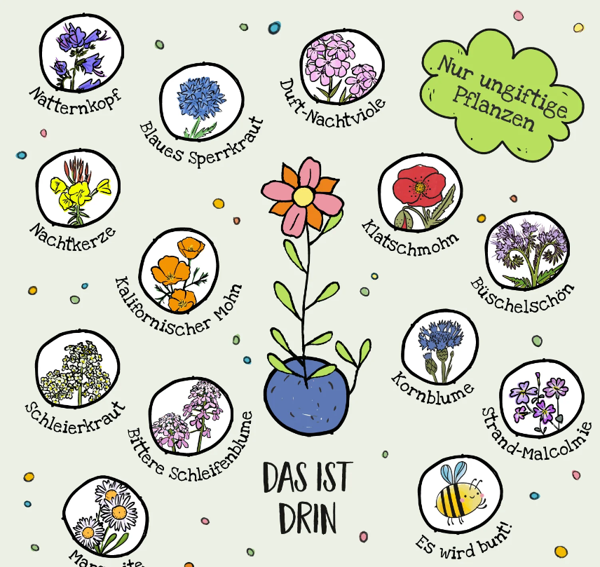Handgezeichnete Illustration von ungiftigen Blumen und 25 bunten Blumenmurmeln in einer Dose (Stadtgärtner) um eine zentrale Topfpflanze, beschriftet in Deutsch. Enthält Mohn, Kornblume und Vergissmeinnicht. Text: Nur ungiftige Pflanzen & Es wird bunt!.