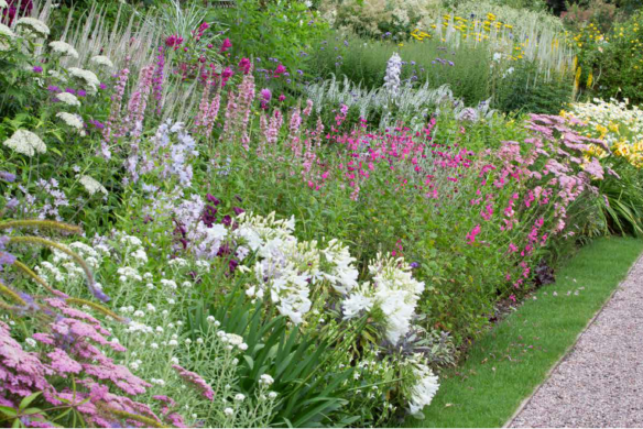 Ein üppiges Gartenbeet mit leuchtenden Blüten in Weiß, Rosa, Violett und Gelb grenzt an einen gepflegten Rasen und einen Kiesweg und illustriert perfekt die fachkundige Gartenplanung in Blütenpracht | Der Weg zum Traumgarten vom Callwey Verlag.
