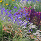 Lassen Sie sich mit "Blütenpracht | Der Weg zum Traumgarten" von Modeste Herwig (Callwey Verlag) zur kreativen Gartenplanung inspirieren - entdecken Sie leuchtend lila, gelbe, orange und rosa Beetpflanzen und Gräser für einen üppigen, farbenfrohen Garten.