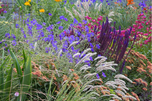 Lassen Sie sich mit "Blütenpracht | Der Weg zum Traumgarten" von Modeste Herwig (Callwey Verlag) zur kreativen Gartenplanung inspirieren - entdecken Sie leuchtend lila, gelbe, orange und rosa Beetpflanzen und Gräser für einen üppigen, farbenfrohen Garten.