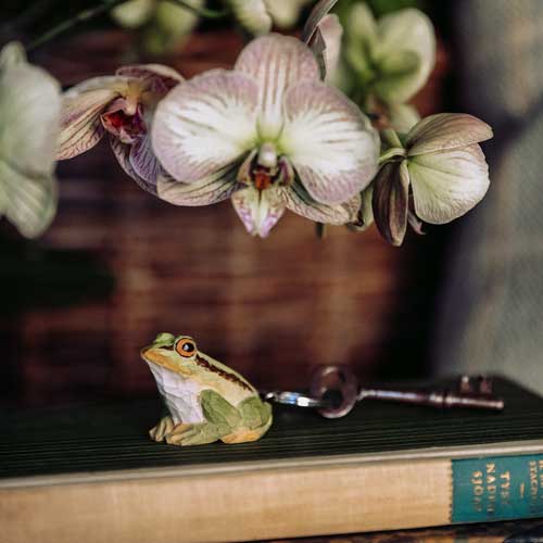 A Wildlife Garden | Handgefertigter Schlüsselanhänger aus Holz 'Frosch' und ein alter Schlüssel liegen auf einem geschlossenen Buch, darüber eine blühende Orchidee - eine Szene voller Wildlife Garden Charme.