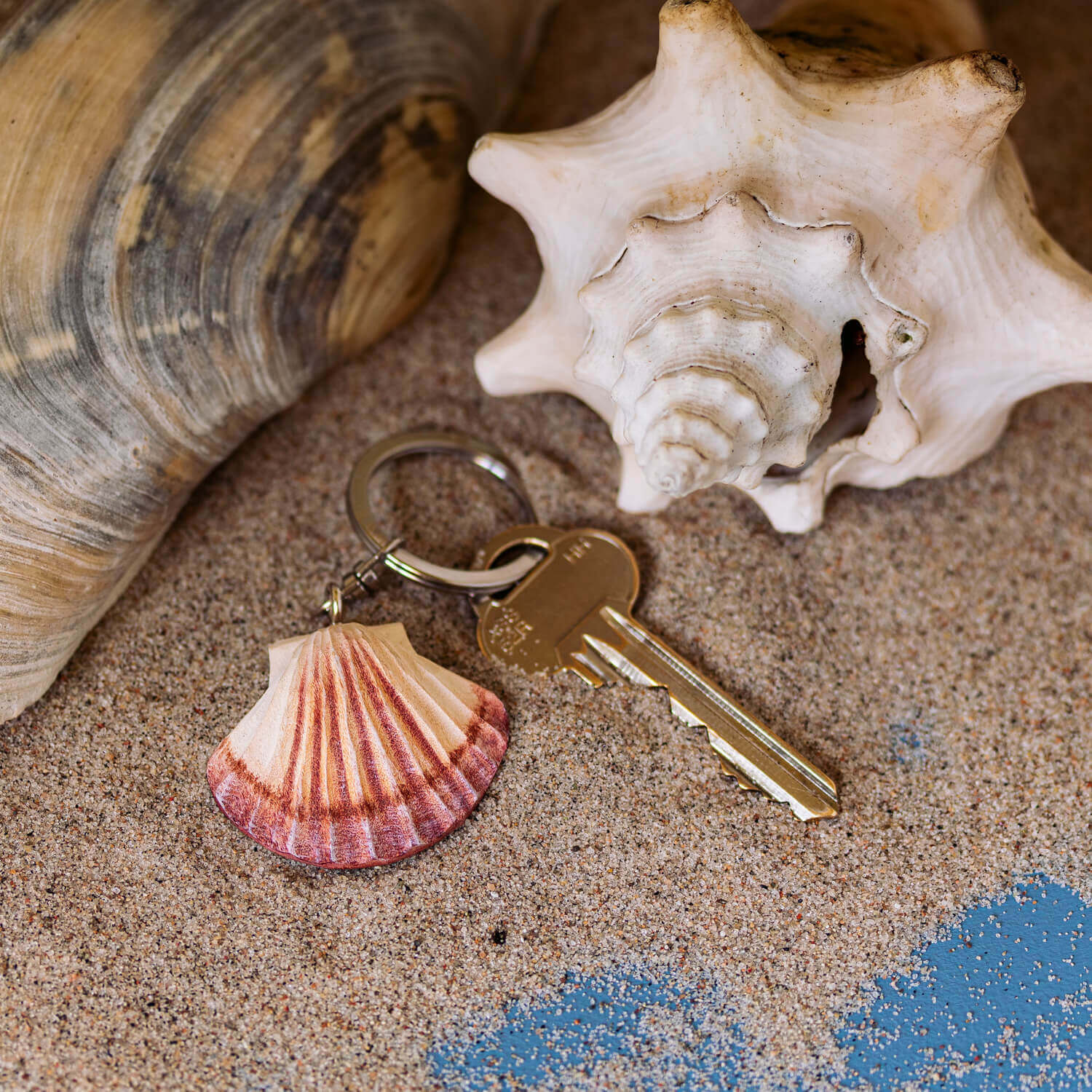 Ein goldener Schlüssel mit dem Wildlife Garden Handgefertigter Schlüsselanhänger aus Holz Muschel liegt auf sandigem Boden neben zwei großen, maritimen Accessoires: einer spiralförmigen und einer ovalen Muschel.