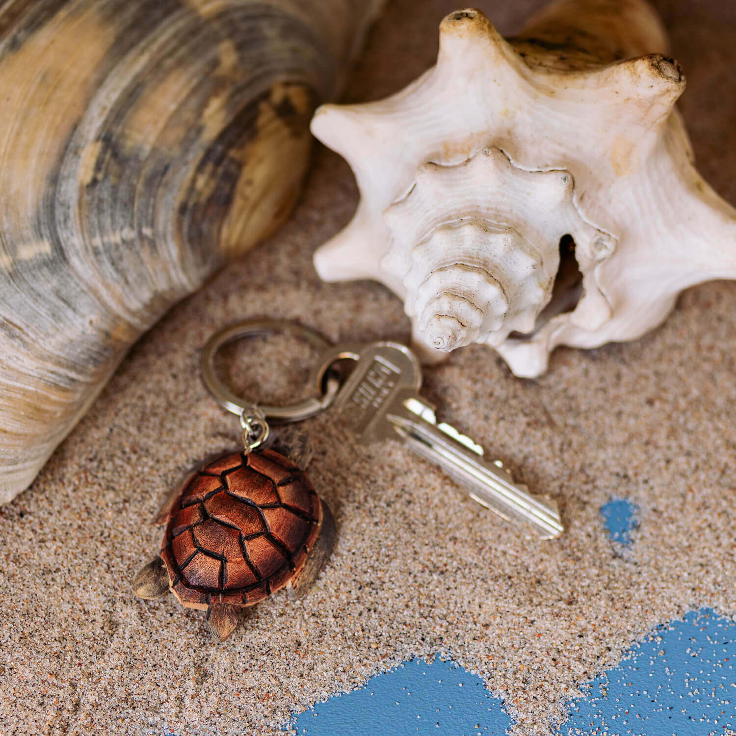 Der Wildlife Garden | Handgefertigter Schlüsselanhänger aus Holz | Schildkröte von Wildlife Garden ruht auf sandigem Boden neben zwei großen Muscheln, von denen eine spiralförmig und die andere gerippt ist.