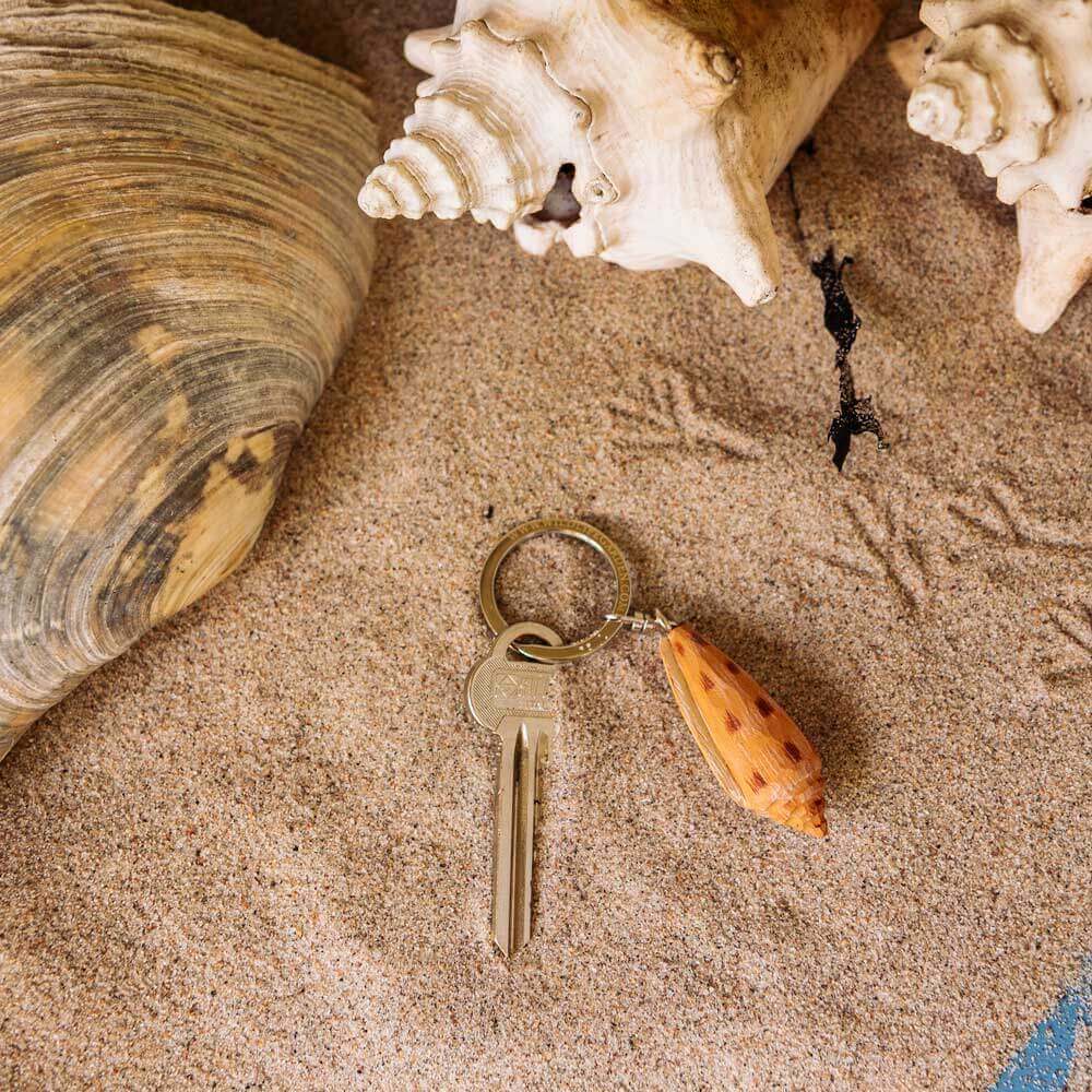 Ein einzelner Messingschlüssel mit dem handgefertigten Holz-Schlüsselanhänger "Kegelschnecke" von Wildlife Garden liegt auf Sand und Muscheln - ein maritimes Souvenir, perfekt für Küstenfreunde.