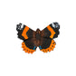 The Wildlife Garden | 'Schmetterling Admiral' Magnet aus handgeschnitztem Holz zeigt einen Schmetterling mit dunkelbraunen Flügeln, orangefarbenen Bändern, schwarzen Spitzen mit weißen Flecken und blauen Punkten auf weißem Hintergrund.
