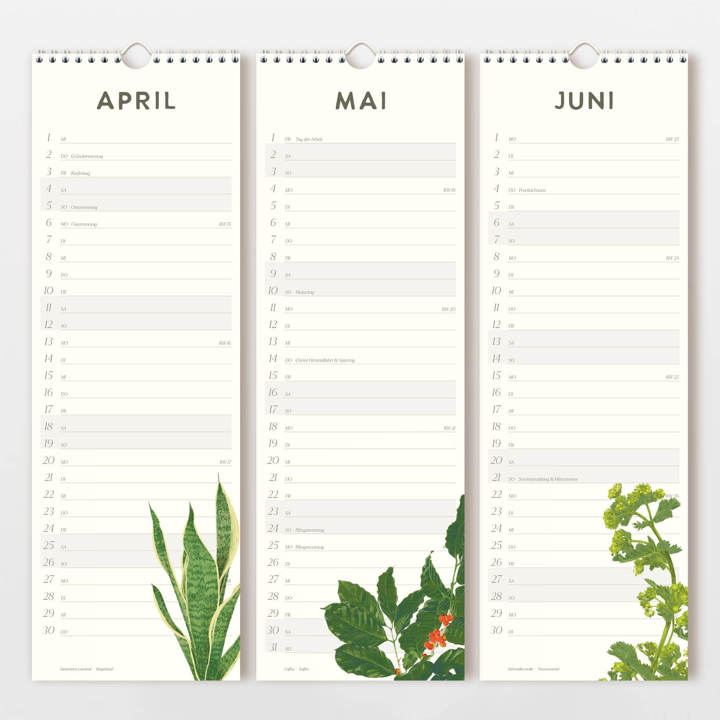 Der Wildblumen Atelier | Wandkalender 2026 mit handgezeichneten Blumen zeigt April-, Mai- und Juni-Seiten mit deutschen Datumsangaben, FSC-zertifiziertem Naturpapier und floralen Illustrationen am Seitenende.