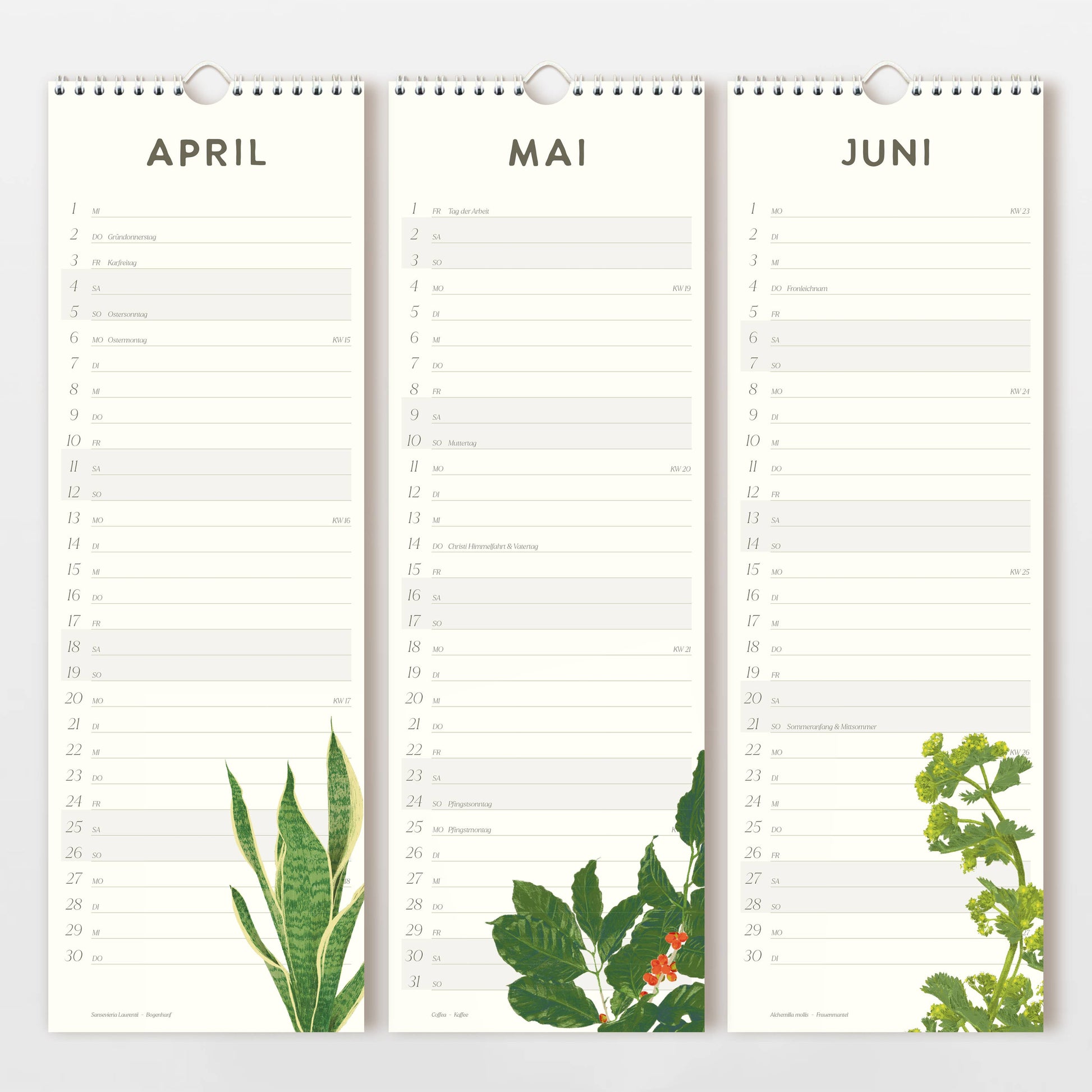Der Wildblumen Atelier | Wandkalender 2026 mit handgezeichneten Blumen zeigt April-, Mai- und Juni-Seiten mit deutschen Datumsangaben, FSC-zertifiziertem Naturpapier und floralen Illustrationen am Seitenende.
