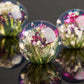 Der Hafod Grange | Briefbeschwerer mit gemischter Flora besteht aus drei klaren Harzkugeln mit farbenfrohen getrockneten Blumen, darunter Mini-Dianthus - ein kunstvolles Schreibtisch-Accessoire von Hafod Grange, das jeden Arbeitsbereich aufwertet.