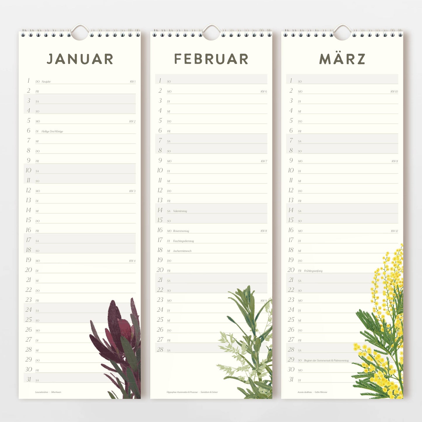 Der Wildblumen Atelier Wandkalender 2026 ist auf FSC-zertifiziertem Naturpapier gedruckt und bietet die Monate Januar bis März in deutscher Sprache, linierte Notizfelder und handgezeichnete Blumen auf jeder Seite.