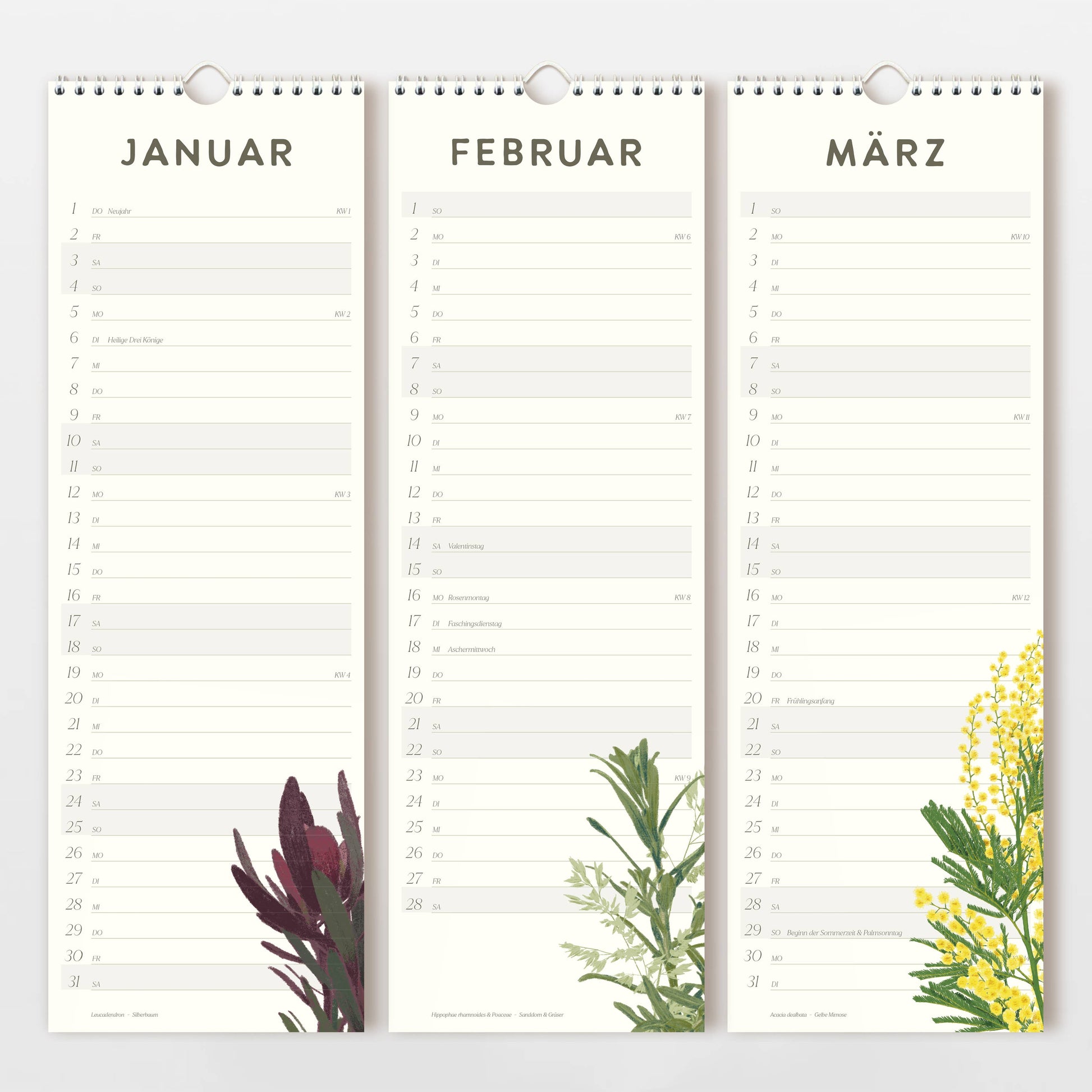Der Wildblumen Atelier Wandkalender 2026 ist auf FSC-zertifiziertem Naturpapier gedruckt und bietet die Monate Januar bis März in deutscher Sprache, linierte Notizfelder und handgezeichnete Blumen auf jeder Seite.