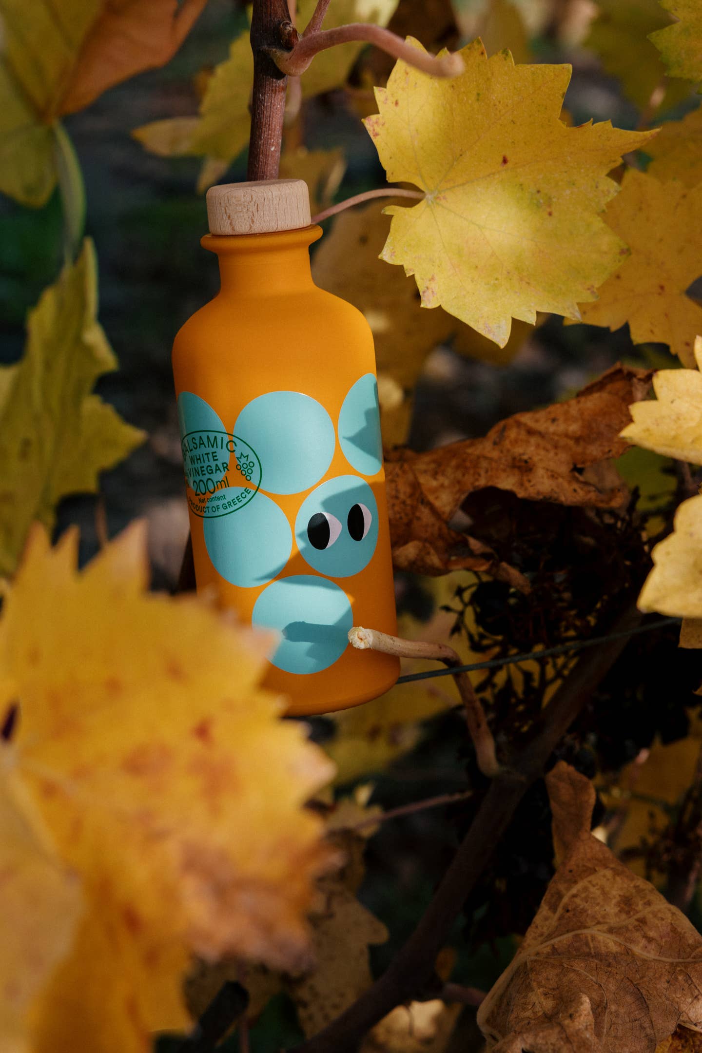 Eine 200-ml-Flasche Yiayia and friends | Weißer Balsamico-Essig mit blauen Kreisen und Cartoon-Augen auf dem Etikett ruht inmitten gelber Herbstblätter - ideal für eine natürliche Vinaigrette ohne Zusatzstoffe.