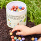 Eine Kinderhand hebt einen bunten Samenball aus der Erde neben einem runden Behälter mit der Aufschrift „Stadtgärtner Saatgut | Blumenmurmeln ‚Naturabenteuer‘ 100er-Dose“ auf, der mit weiteren bunten Samenbällen gefüllt ist und von grünem Gras umgeben ist– ein ideales nachhaltiges Geschenk für Kinder und ein spannendes Naturabenteuer für kleine Entdecker.