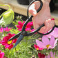Eine Hand benutzt die Barebones | Artisan Gartenschere aus Edelstahl, um rosa und magentafarbene Kosmen im Garten zu schneiden. Das Sonnenlicht beleuchtet die leuchtenden Blütenblätter und grünen Blätter, während das Barebones-Werkzeug jeden zarten Stiel sanft abschneidet.