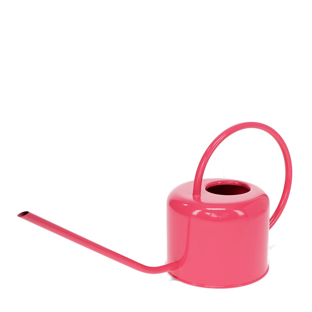 Eine Metall-Gießkanne | 1 l in leuchtendem Pink der Marke Rex Europe mit langem Ausguss und großem, gebogenem Griff, ideal als Gießkanne für Zimmerpflanzen, vor einem schlichten weißen Hintergrund platziert.