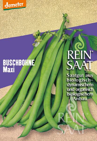 Ein Päckchen ReinSaat | Buschbohne 'Maxi' von Reinsaat mit frischen grünen Bohnen auf violett-beigem Hintergrund, mit deutschen Informationen zum biologischen und biodynamischen Anbau.