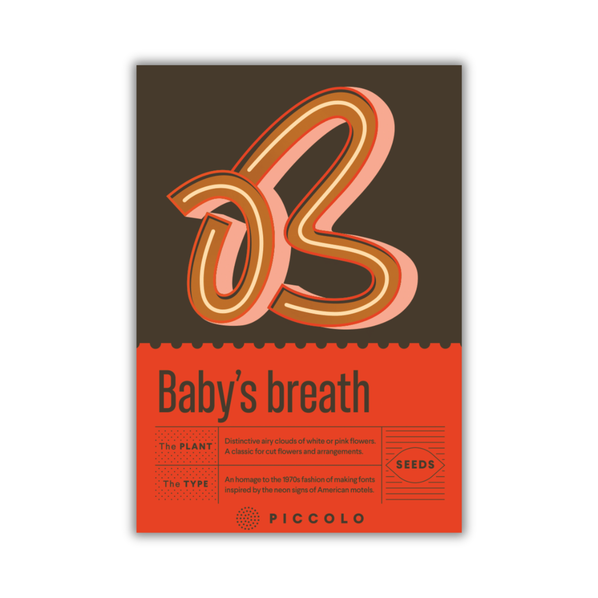 Die Piccolo Seeds Packung für 'Babys Breath' Schleierkraut zeigt ein kühnes Retro-B" in Pink, Orange und Braun mit zarten floralen Akzenten - perfekt für Schnittblumen-Arrangements. Marke: Piccolo Seeds.