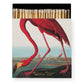 Die Quadratischen Streichhölzer "Der Amerikanische Flamingo" der Archivist Gallery zeigen einen leuchtend rosa Flamingo am Wasser mit anderen im Hintergrund - perfekt als kleines Geschenk.