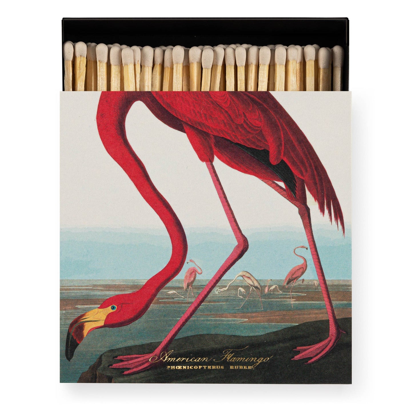 Die Quadratischen Streichhölzer "Der Amerikanische Flamingo" der Archivist Gallery zeigen einen leuchtend rosa Flamingo am Wasser mit anderen im Hintergrund - perfekt als kleines Geschenk.